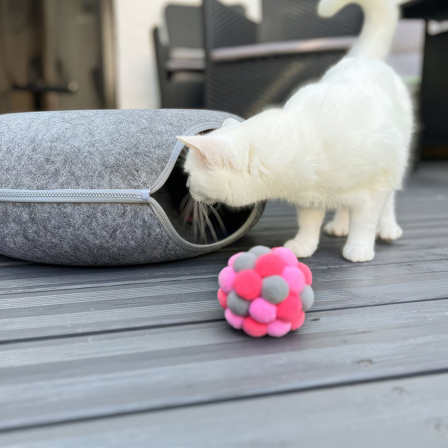 Veranine Katzenbett™ — Schlafen, Spielen & Kratzen in Einem.
