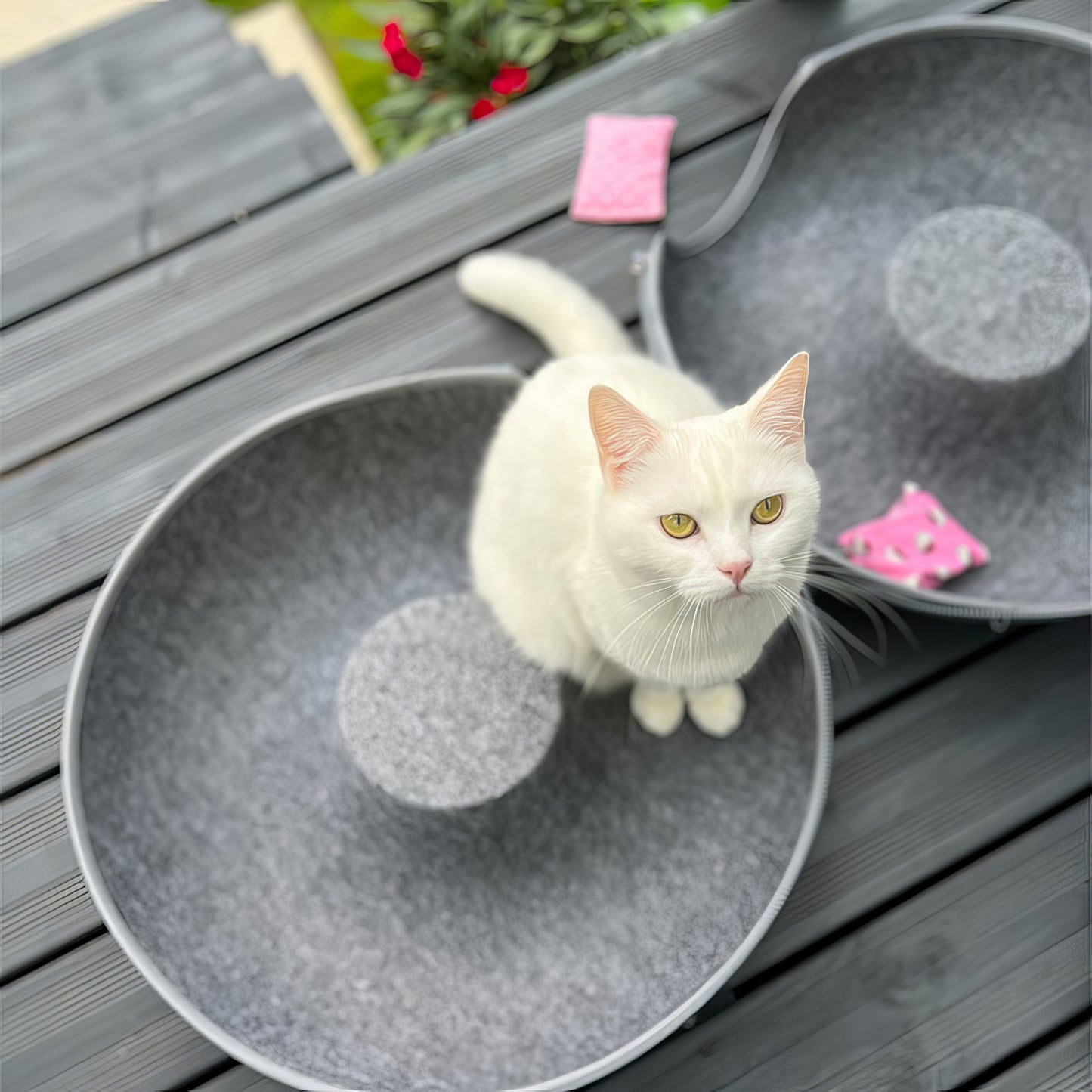 Veranine Katzenbett™ — Schlafen, Spielen & Kratzen in Einem.