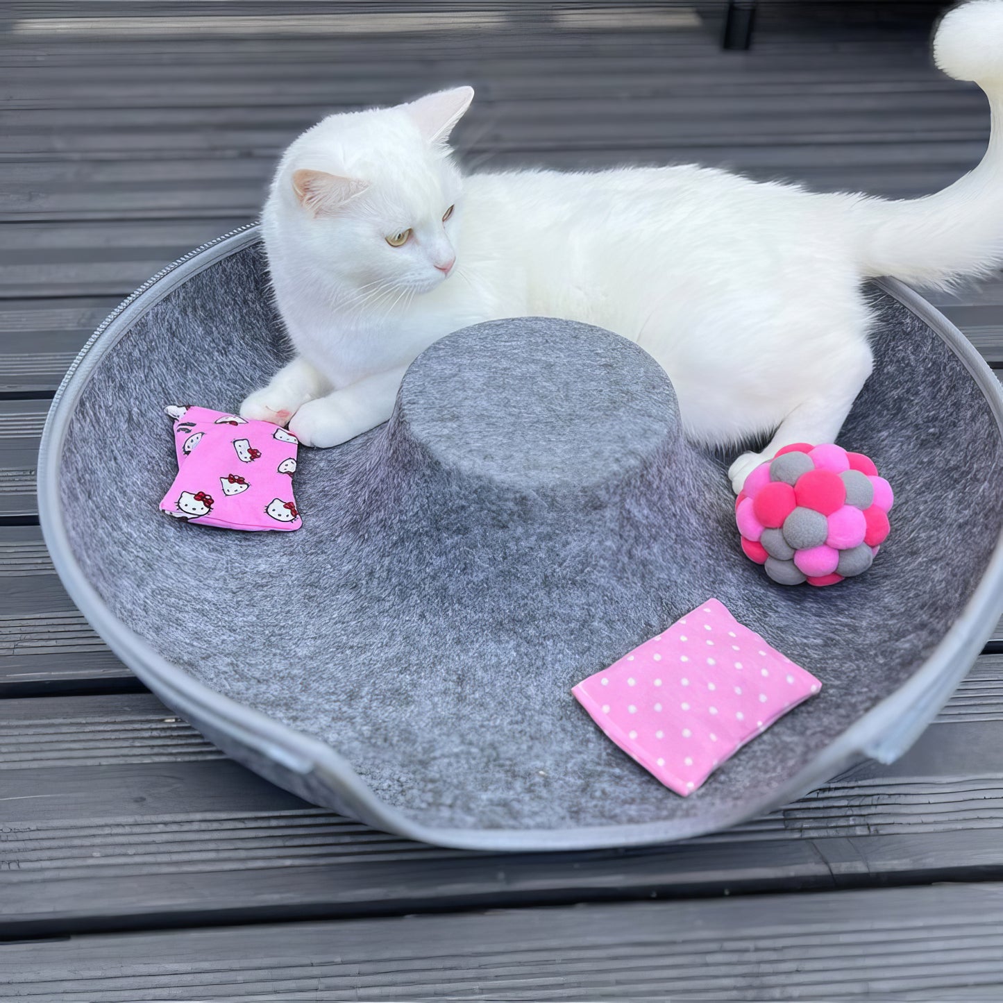 Veranine Katzenbett™ — Schlafen, Spielen & Kratzen in Einem.