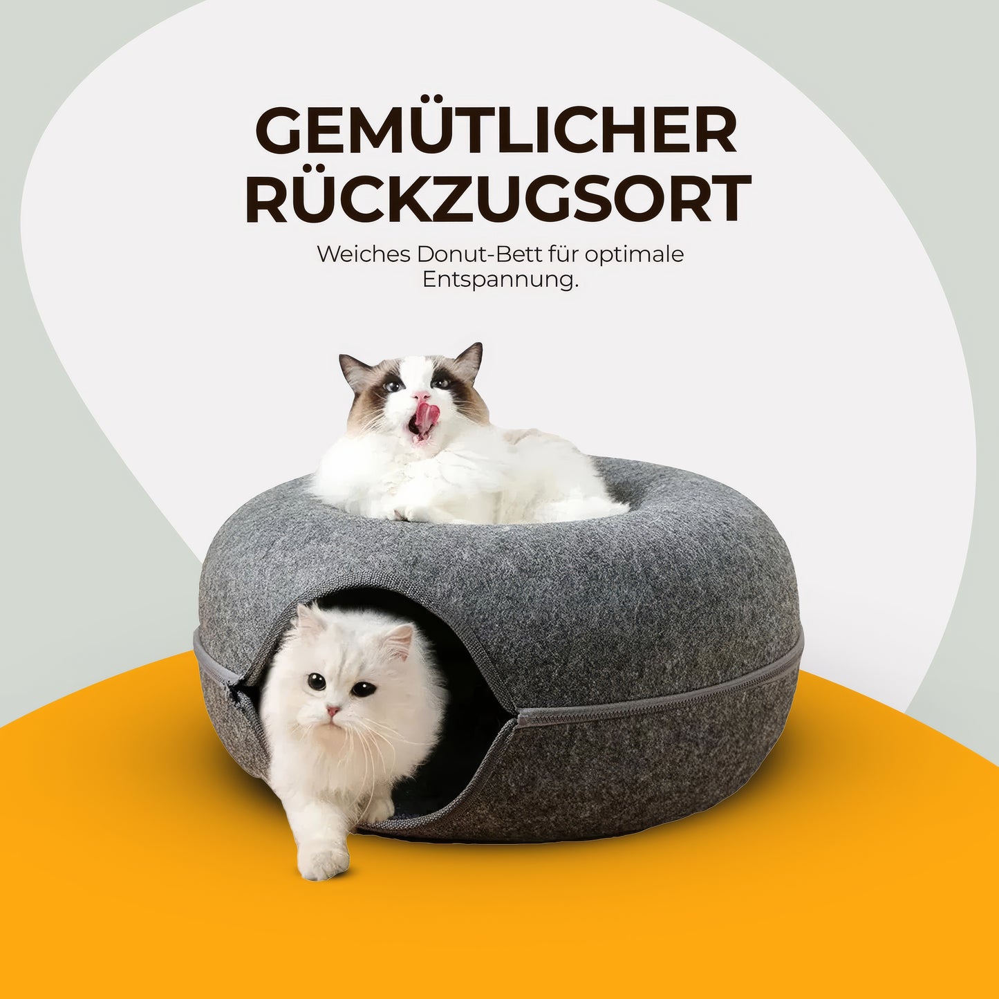 Veranine Katzenbett™ — Schlafen, Spielen & Kratzen in Einem.
