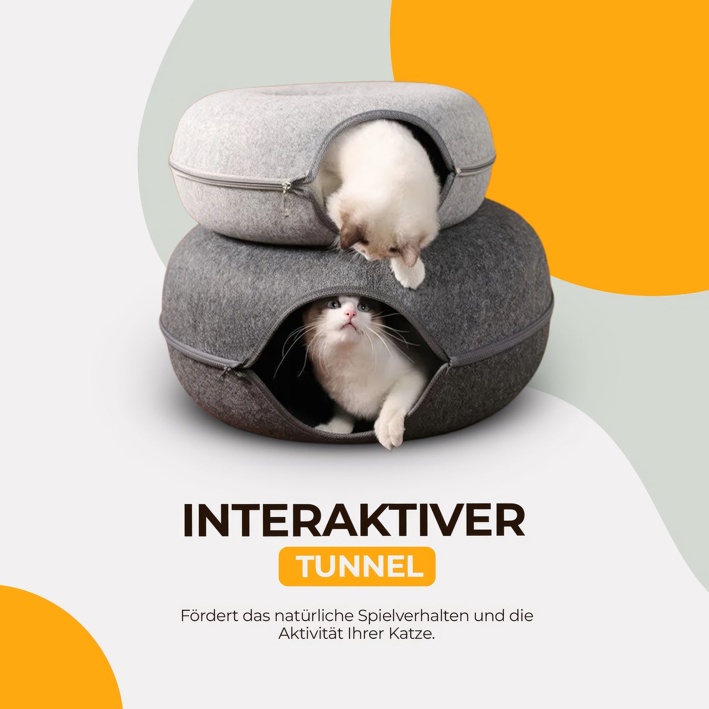 Veranine Katzenbett™ — Schlafen, Spielen & Kratzen in Einem.