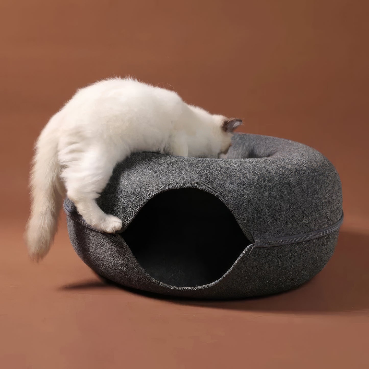Veranine Katzenbett™ — Schlafen, Spielen & Kratzen in Einem.