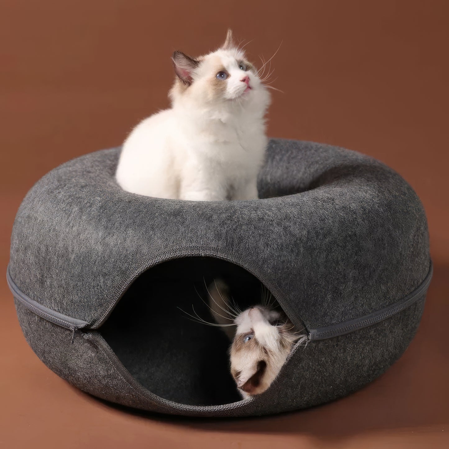 Veranine Katzenbett™ — Schlafen, Spielen & Kratzen in Einem.