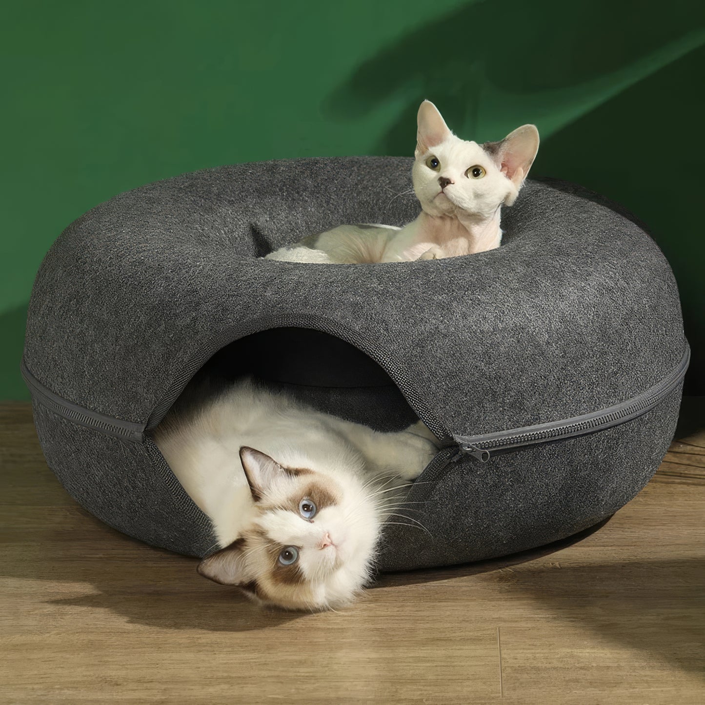Veranine Katzenbett™ — Schlafen, Spielen & Kratzen in Einem.